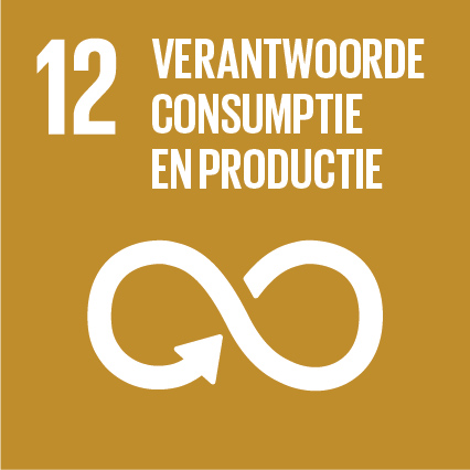 SDG-icon-NL-RGB-12 SDG 12