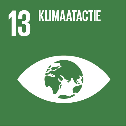 SDG-icon-NL-RGB-13 SDG 13